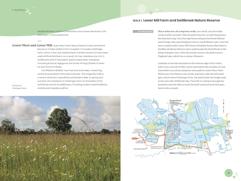 Aper&ccedil;u du contenu 2_Exploring the Thames Rivers and Streams