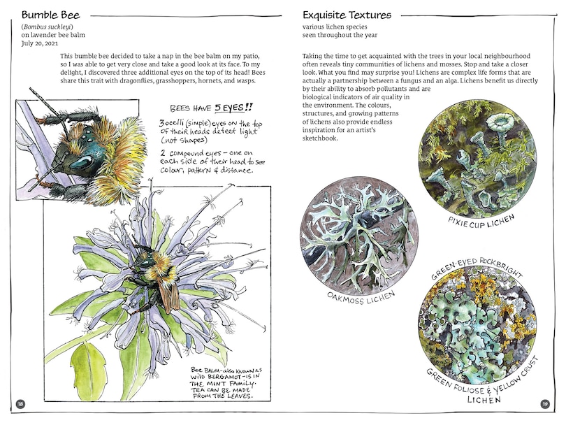 Sample content_Exploring Vancouver Naturehoods
