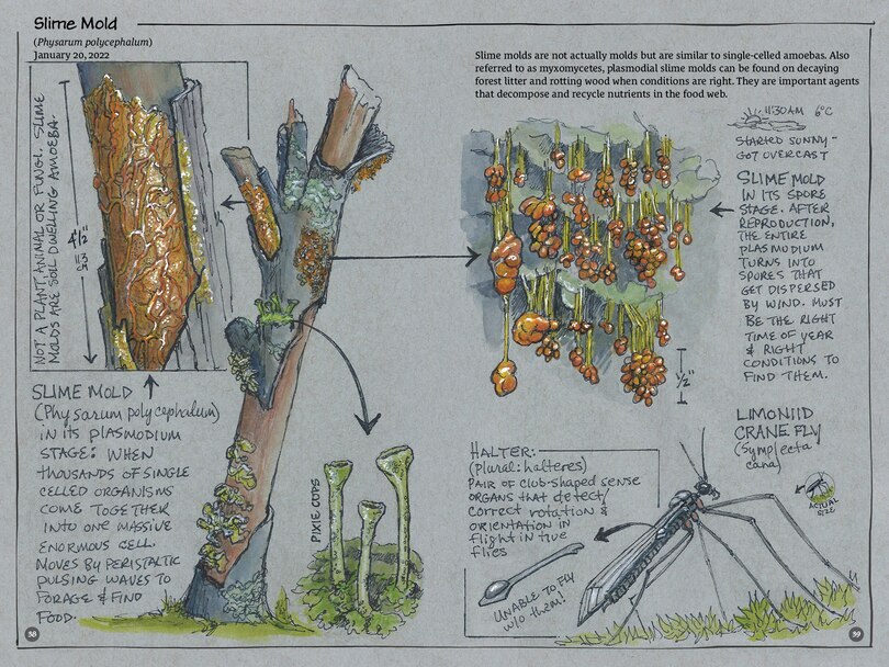 Sample content 2_Exploring Vancouver Naturehoods