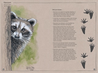 Sample content 3_Exploring Vancouver Naturehoods