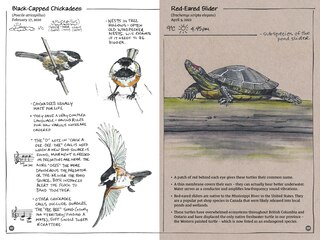 Sample content 4_Exploring Vancouver Naturehoods