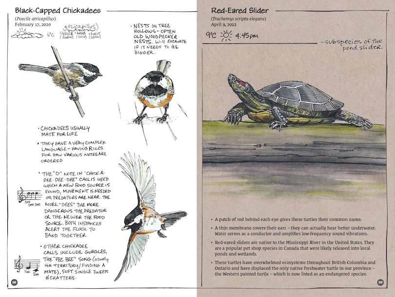 Sample content 4_Exploring Vancouver Naturehoods