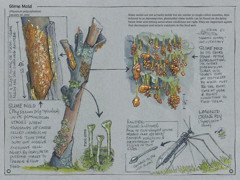 Sample content 2_Exploring Vancouver Naturehoods