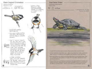 Sample content 4_Exploring Vancouver Naturehoods