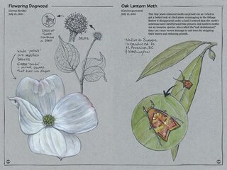 Sample content 5_Exploring Vancouver Naturehoods