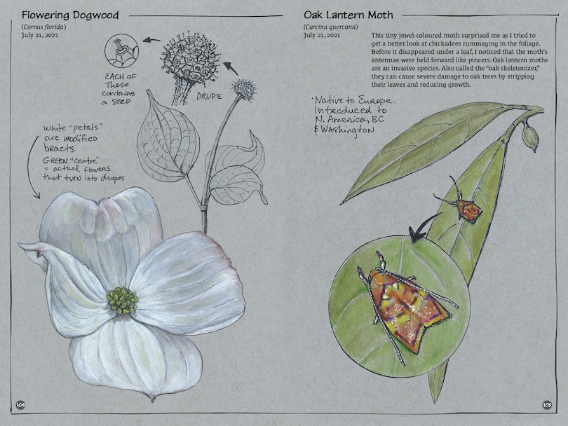 Sample content 5_Exploring Vancouver Naturehoods