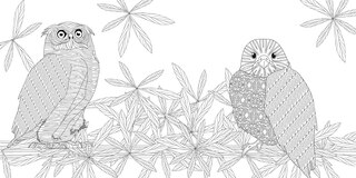 Sample content 2_Exquisite Birds Coloring Book