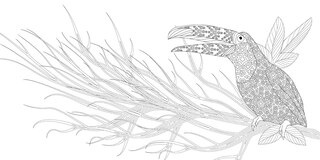 Sample content 4_Exquisite Birds Coloring Book