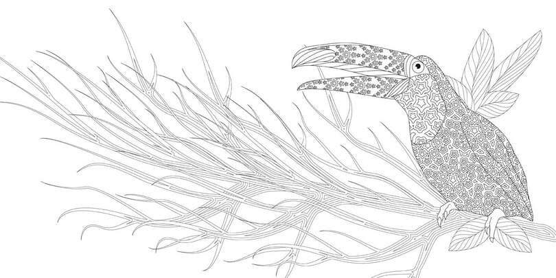Sample content 4_Exquisite Birds Coloring Book