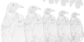 Sample content 5_Exquisite Birds Coloring Book