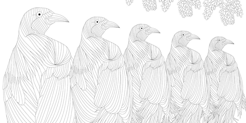 Sample content 5_Exquisite Birds Coloring Book