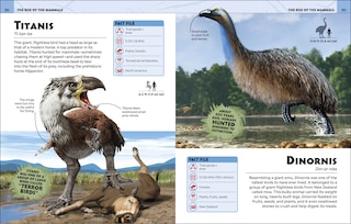 Aper&ccedil;u du contenu_Extraordinary Dinosaurs And Other Prehistoric Life Visual Encyclopedia