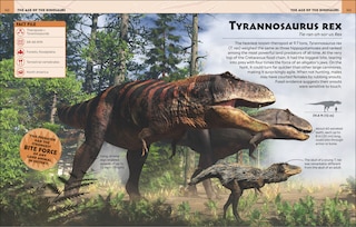 Aper&ccedil;u du contenu 2_Extraordinary Dinosaurs And Other Prehistoric Life Visual Encyclopedia