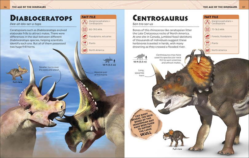 Aper&ccedil;u du contenu 3_Extraordinary Dinosaurs And Other Prehistoric Life Visual Encyclopedia