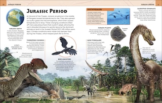 Aper&ccedil;u du contenu 4_Extraordinary Dinosaurs And Other Prehistoric Life Visual Encyclopedia