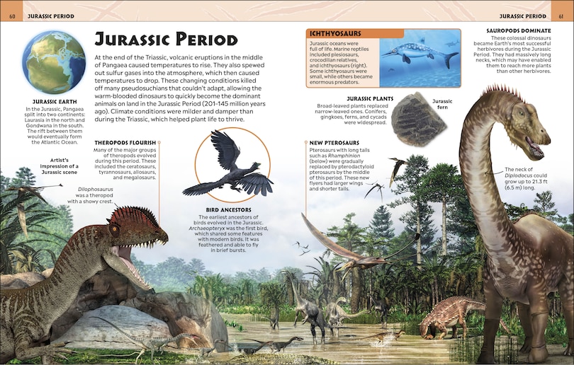 Aper&ccedil;u du contenu 4_Extraordinary Dinosaurs And Other Prehistoric Life Visual Encyclopedia