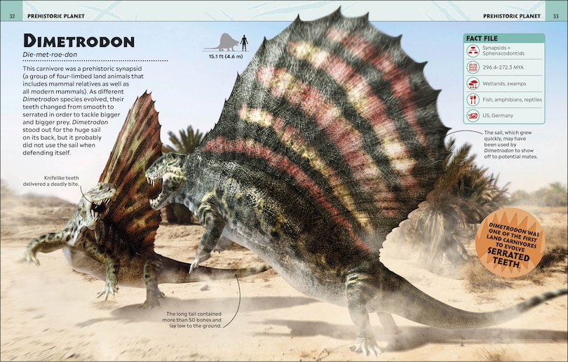 Aper&ccedil;u du contenu 5_Extraordinary Dinosaurs And Other Prehistoric Life Visual Encyclopedia