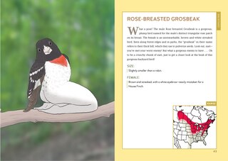 Aperçu du contenu_Extremely Accurate Birds