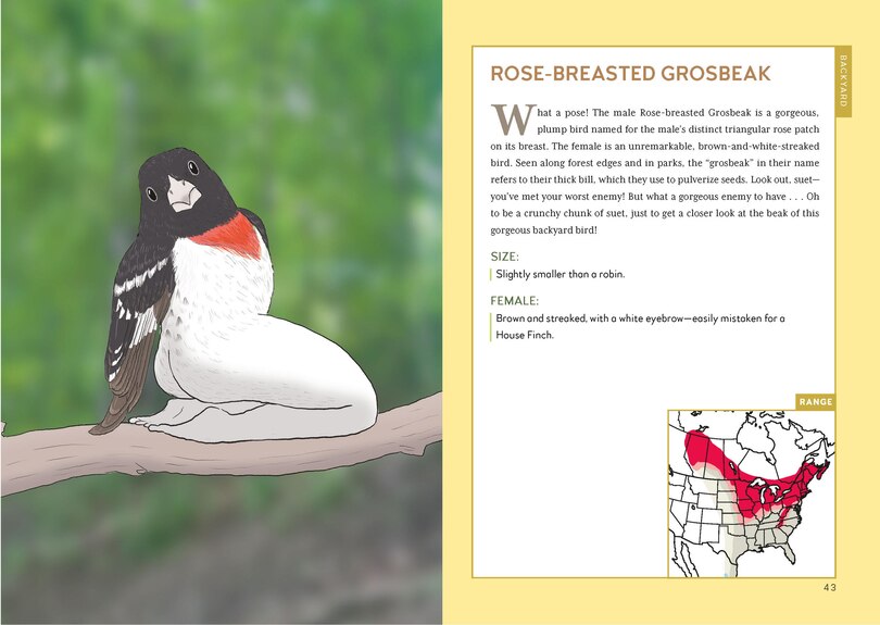 Aperçu du contenu_Extremely Accurate Birds