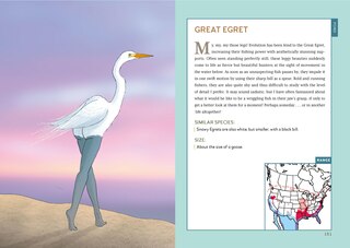 Aperçu du contenu 2_Extremely Accurate Birds