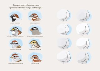 Aperçu du contenu 3_Extremely Accurate Birds