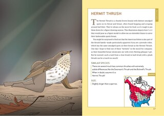 Aperçu du contenu 4_Extremely Accurate Birds