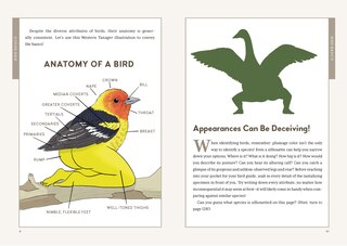 Aperçu du contenu 5_Extremely Accurate Birds