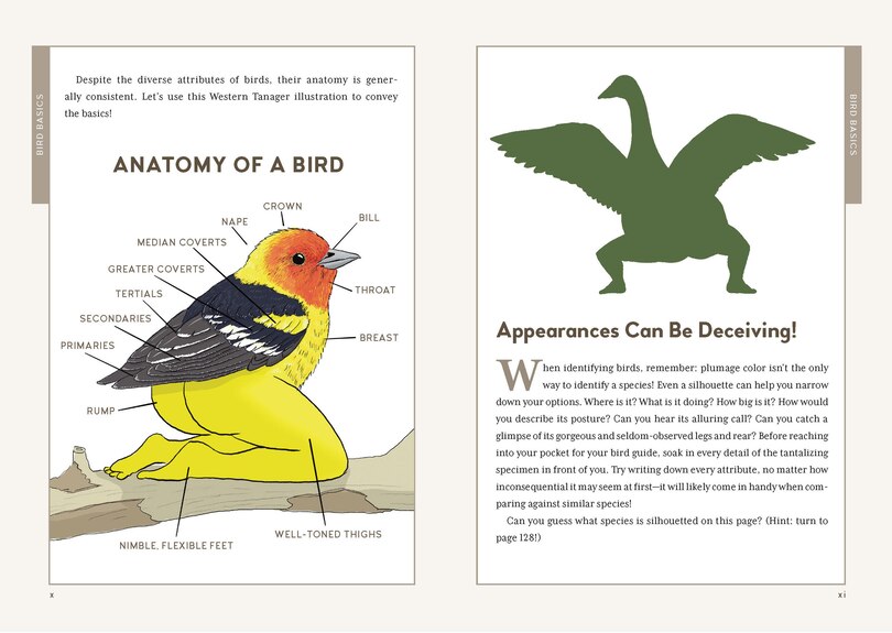 Aperçu du contenu 5_Extremely Accurate Birds