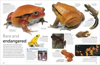 Aper&ccedil;u du contenu_Eyewitness Amphibian