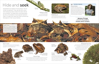 Aper&ccedil;u du contenu 4_Eyewitness Amphibian