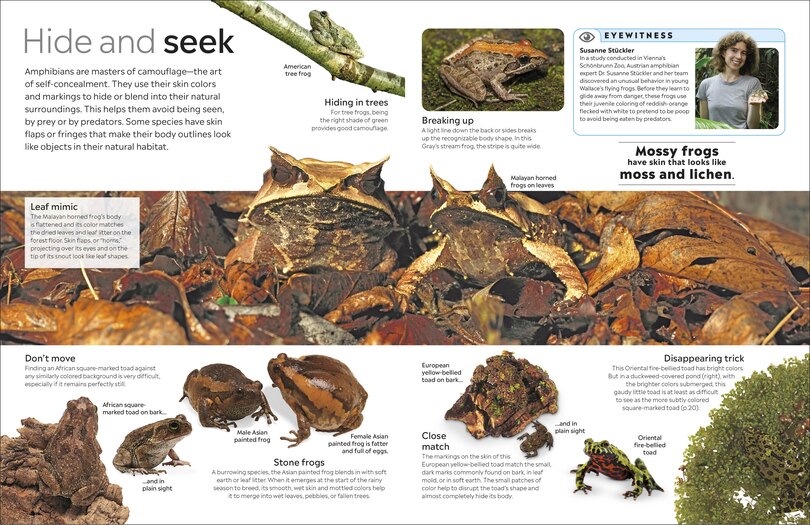 Aper&ccedil;u du contenu 4_Eyewitness Amphibian