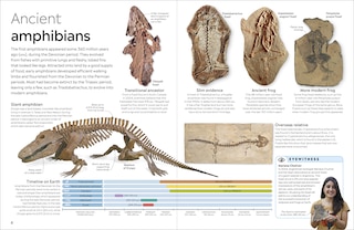 Aper&ccedil;u du contenu 5_Eyewitness Amphibian
