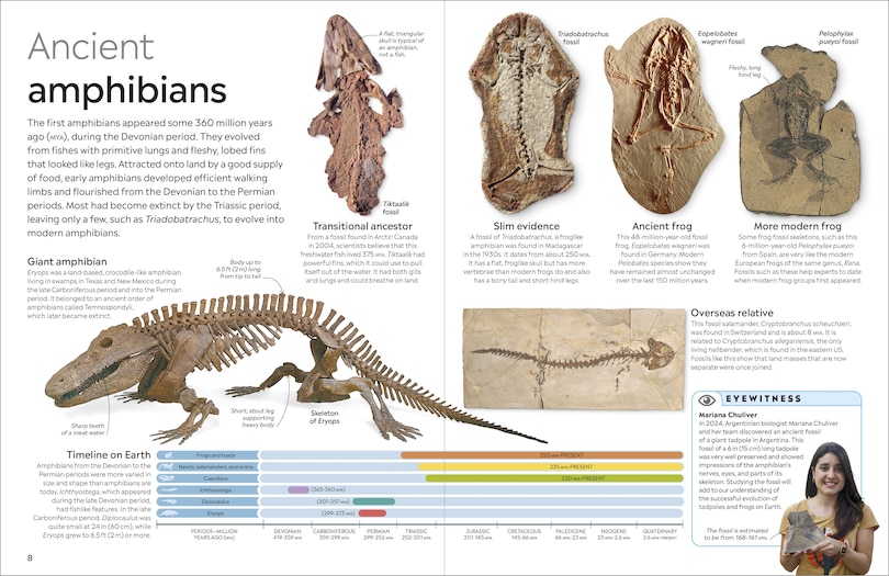 Aper&ccedil;u du contenu 5_Eyewitness Amphibian