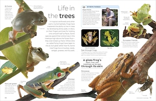 Sample content 2_Eyewitness Amphibian