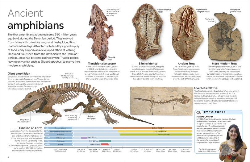 Sample content 5_Eyewitness Amphibian