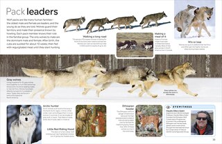 Aper&ccedil;u du contenu 4_Eyewitness Dog