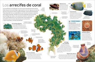 Sample content_Eyewitness: El oc&eacute;ano (Ocean)