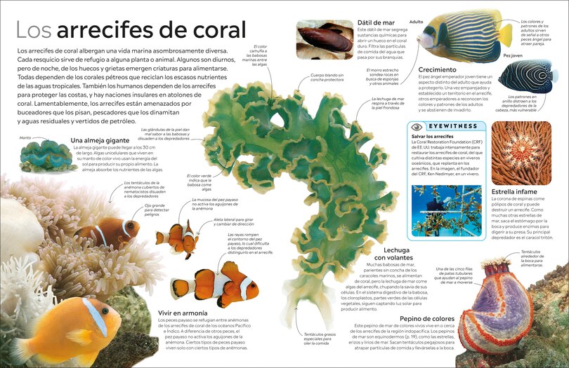 Sample content_Eyewitness: El oc&eacute;ano (Ocean)