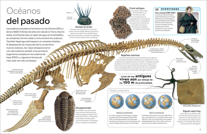 Sample content 2_Eyewitness: El oc&eacute;ano (Ocean)