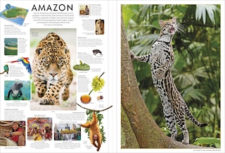 Sample content 5_Eyewitness Encyclopedia Poster Book