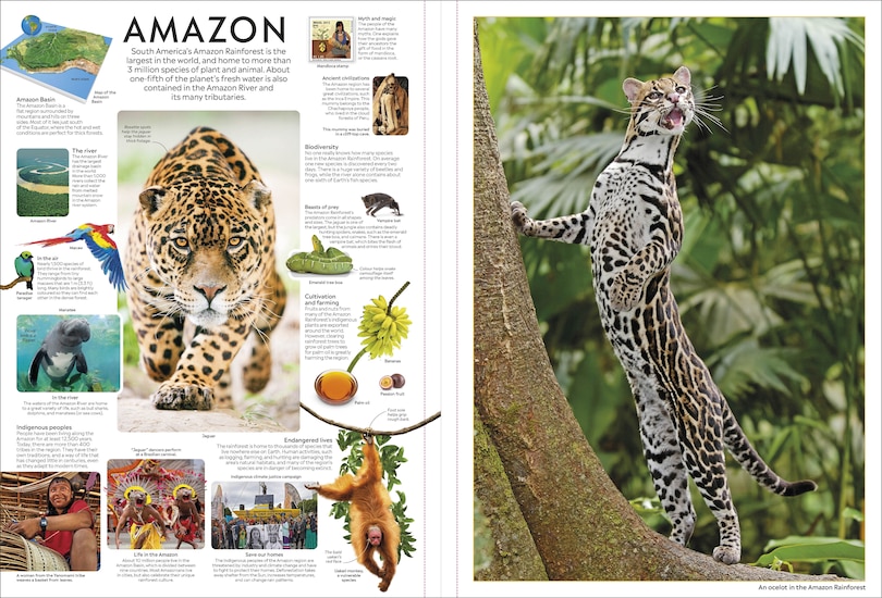 Sample content 5_Eyewitness Encyclopedia Poster Book