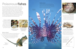 Sample content_Eyewitness Fish