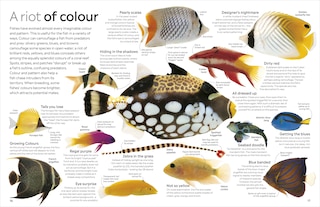 Sample content 3_Eyewitness Fish