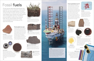 Sample content 3_Eyewitness Fossil