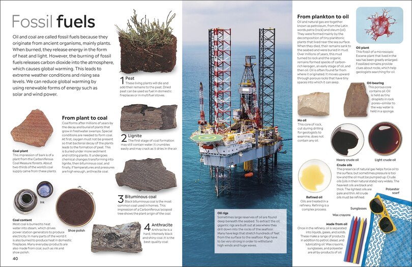 Sample content 3_Eyewitness Fossil