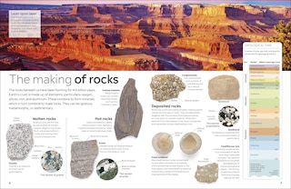 Sample content 5_Eyewitness Fossil