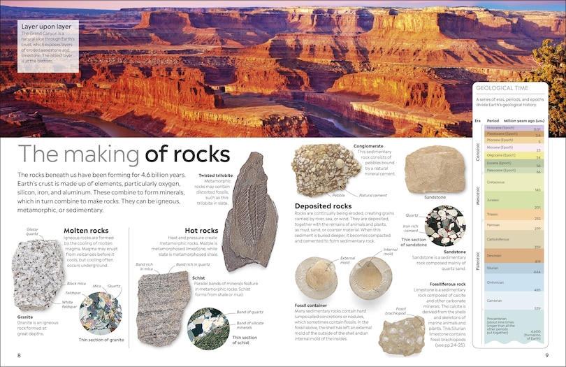 Sample content 5_Eyewitness Fossil