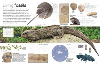 Sample content_Eyewitness Fossil
