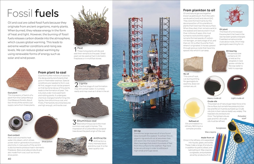 Sample content 3_Eyewitness Fossil