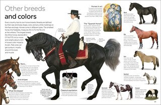 Aper&ccedil;u du contenu_Eyewitness Horse